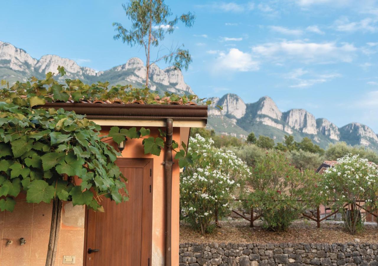 Il Sorgituro - Agriturismo Postiglione Esterno foto