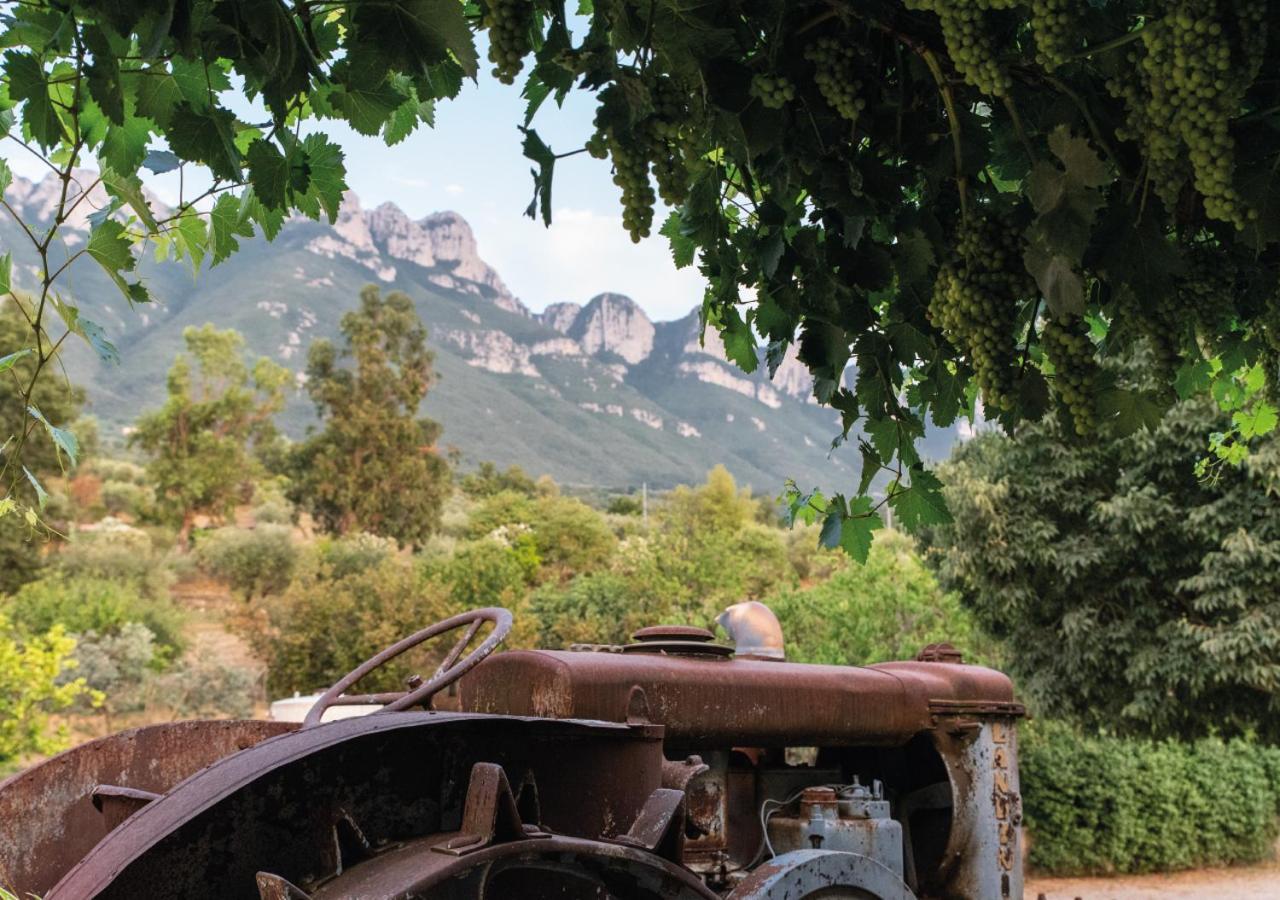 Il Sorgituro - Agriturismo Postiglione Esterno foto
