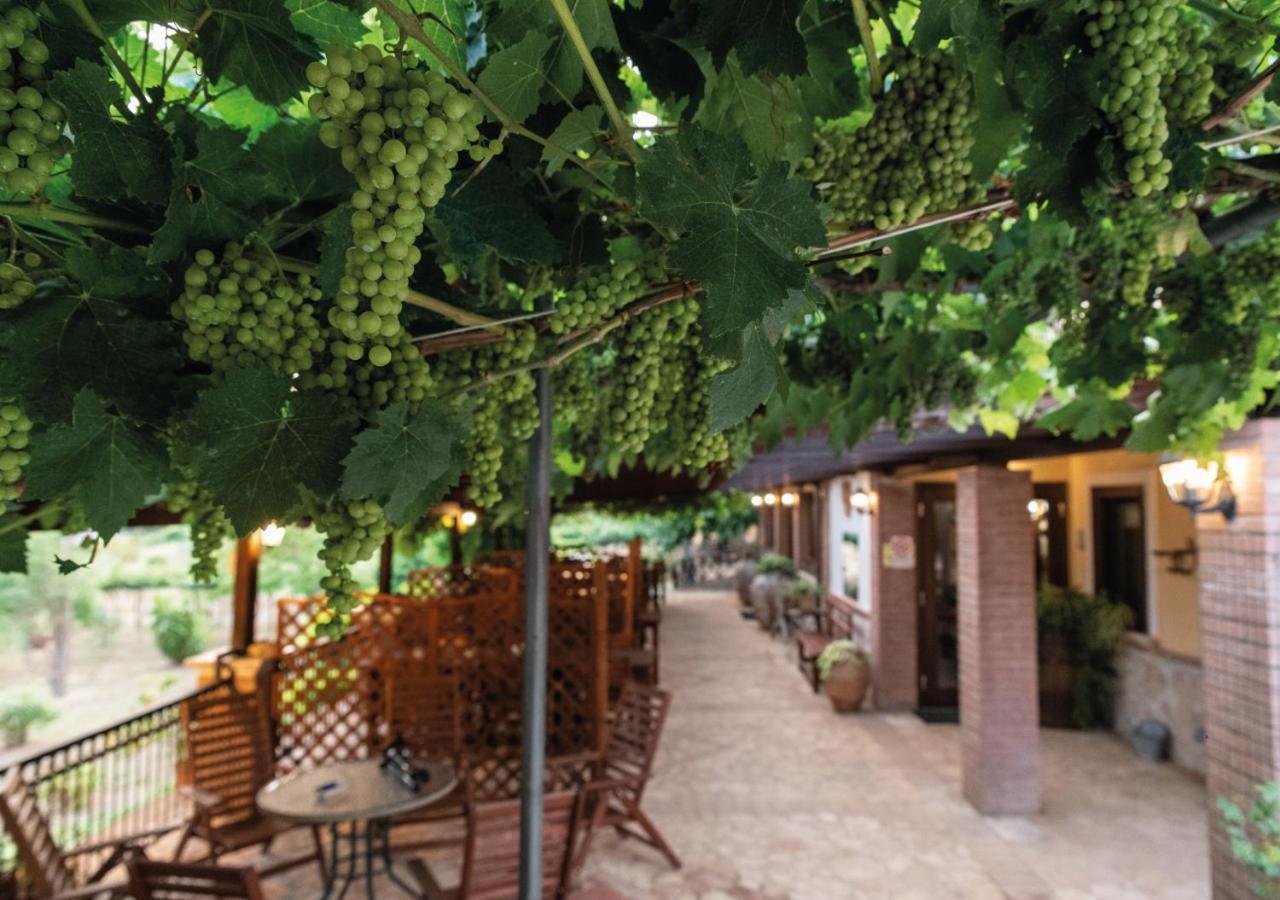 Il Sorgituro - Agriturismo Postiglione Esterno foto