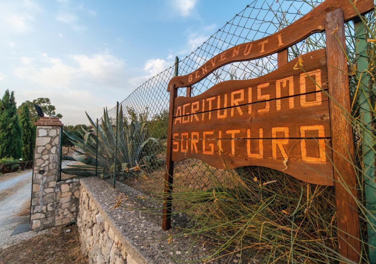 Il Sorgituro - Agriturismo Postiglione Esterno foto