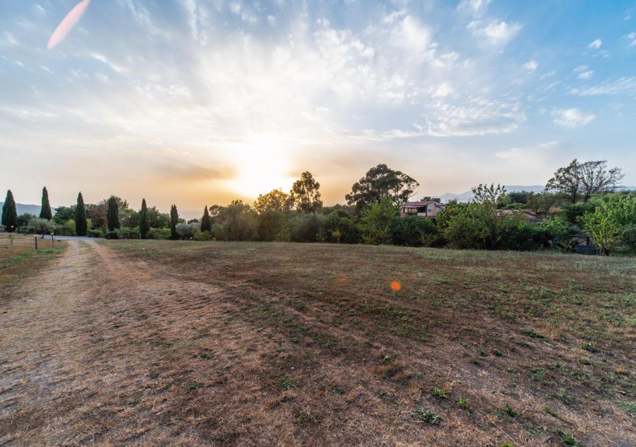 Il Sorgituro - Agriturismo Postiglione Esterno foto